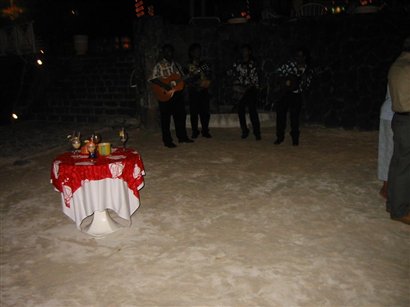 cocktail.jpg
